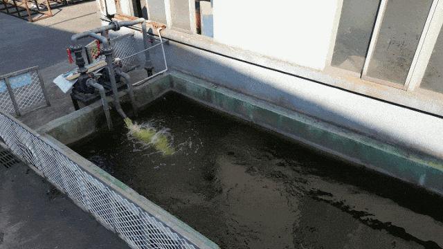 喜訊！中亞鋁業(yè)榮獲企業(yè)綠色品牌！(圖7)